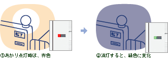 パイロットホタル